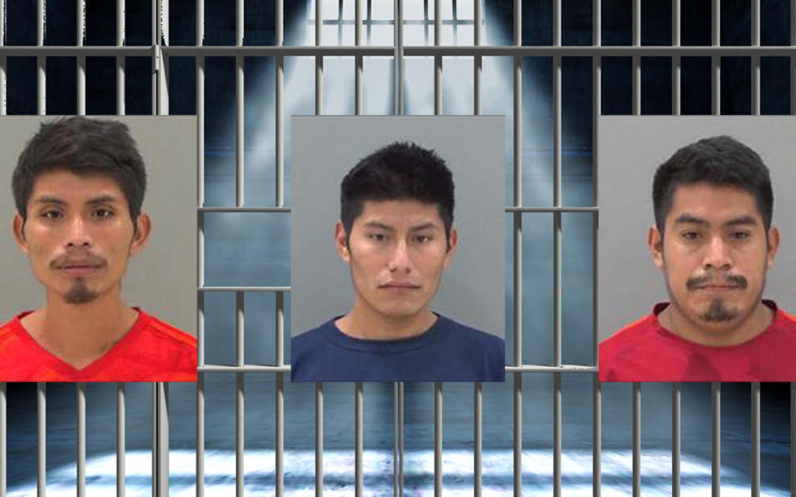 Cristobal Perez-Deyadar (left) Wilber Cruz-Lopez (middle) Manuel Chulin-Mendez (right)