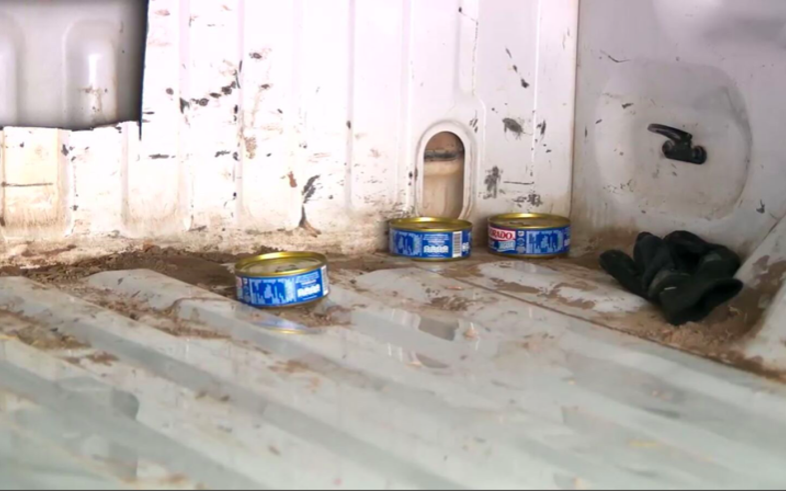 Victims Packed Back of F-150