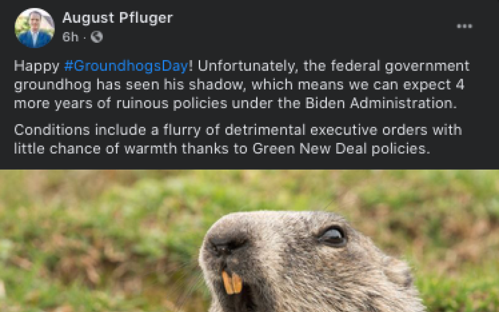 August Pfluger on Groundhog Day