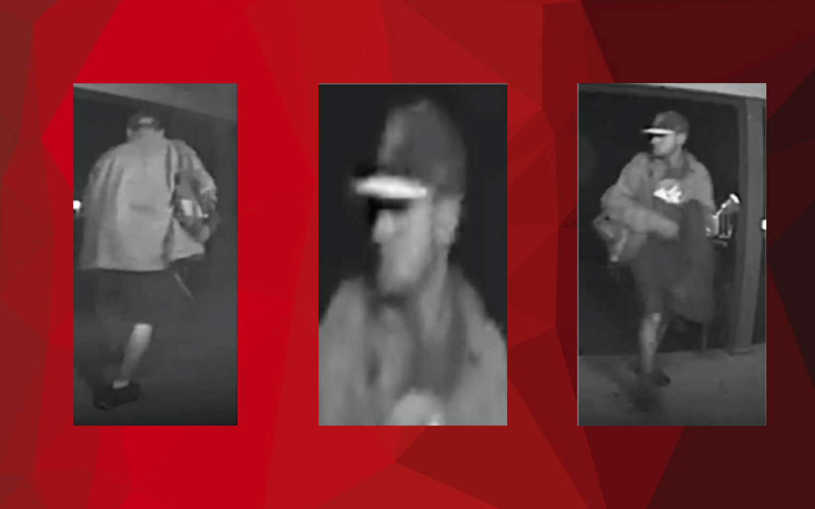 Wanted Theft Suspect