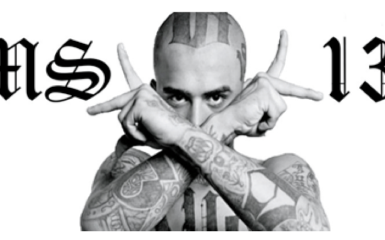 MS-13 Gang Member (Contributed/theviolenceofdevelopment.com)