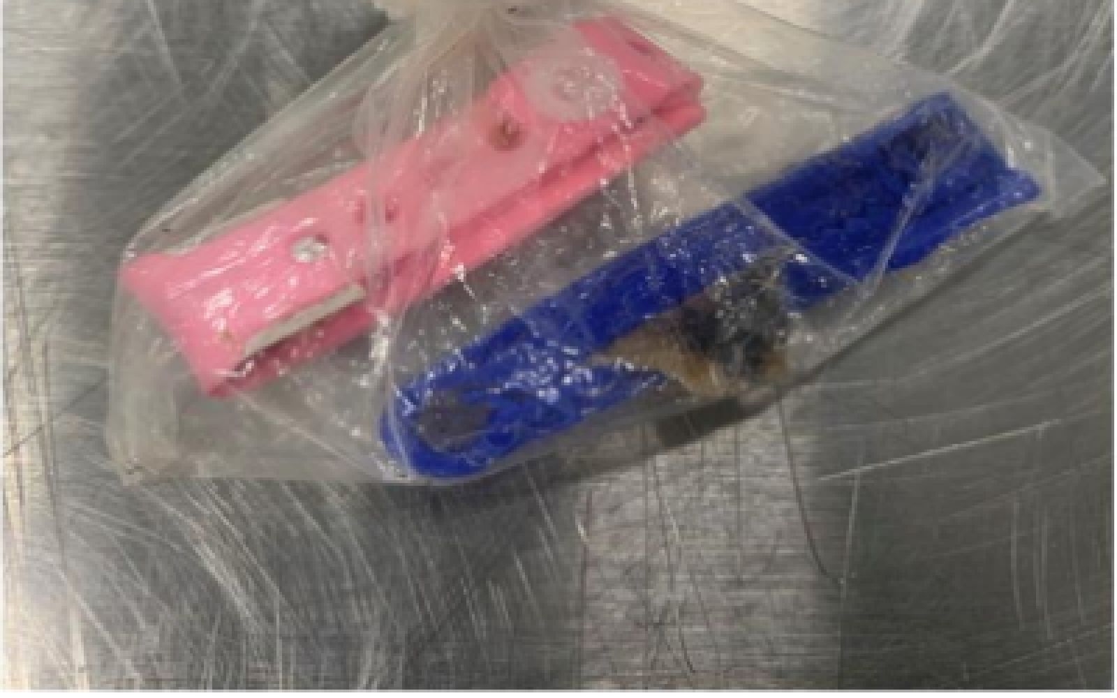 Umbilical Cord Found in Luggage (Contributed/CBP)