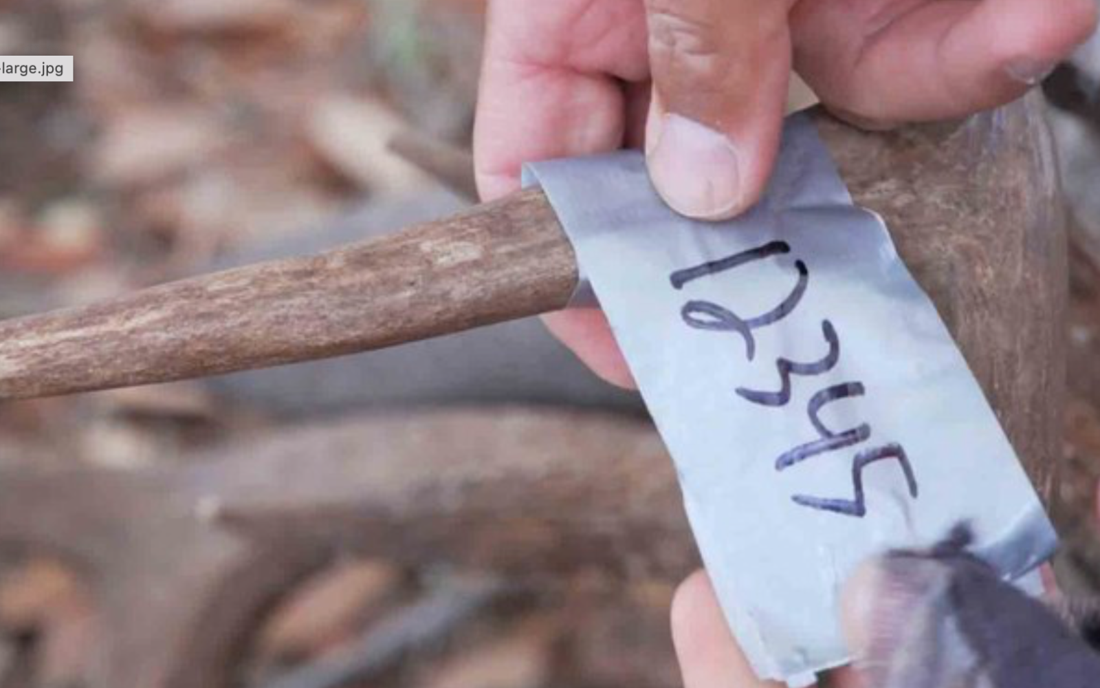 Texas Digital Deer Tags New for 2022-23 (Contributed/TPWD)