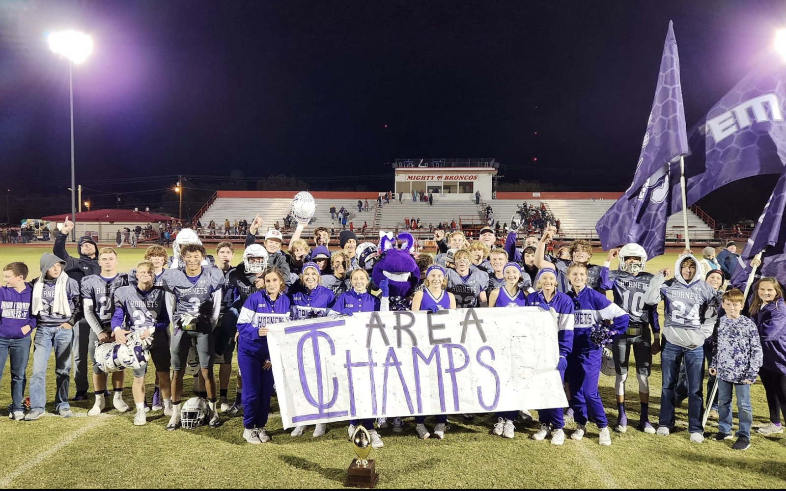 Irion County Hornets