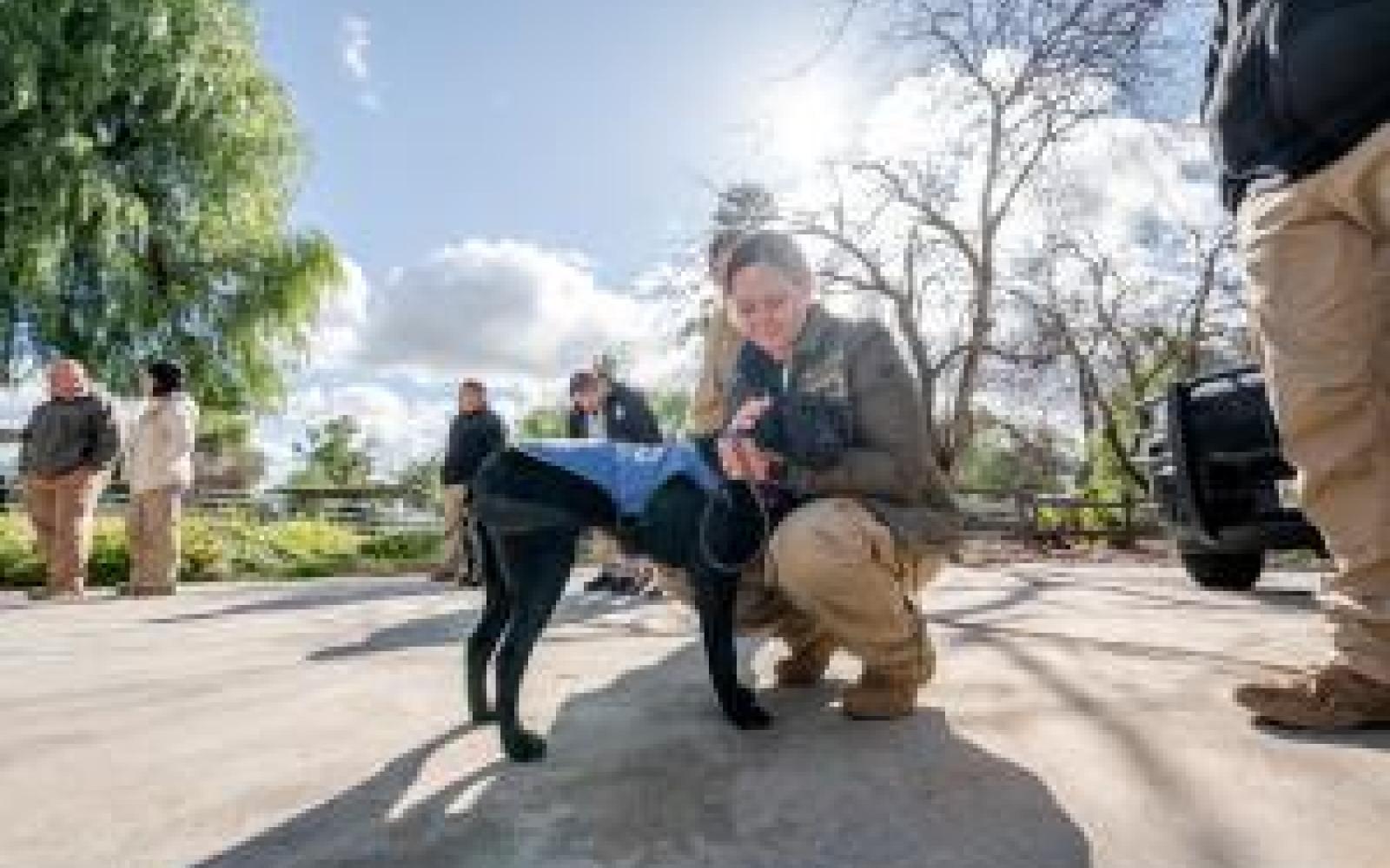 Border Patrol Emotional Support K-9 (Courtesy/CBP)