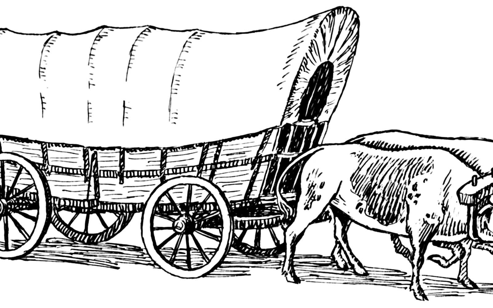 Line art drawing of a Conestoga wagon, or Prairie Schooner, pulled by oxen.