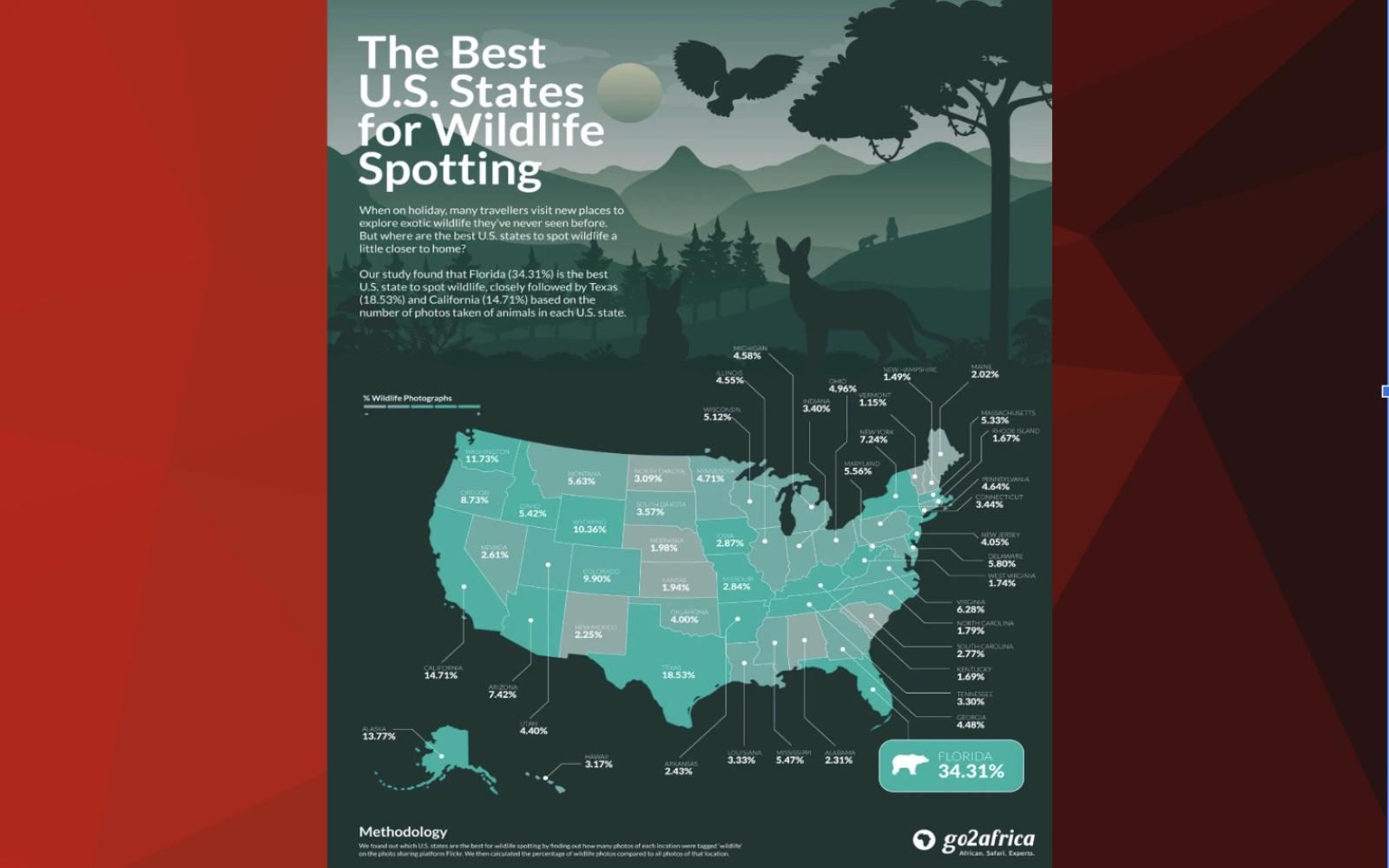 The Best U.S. States for Wildlife Spotting