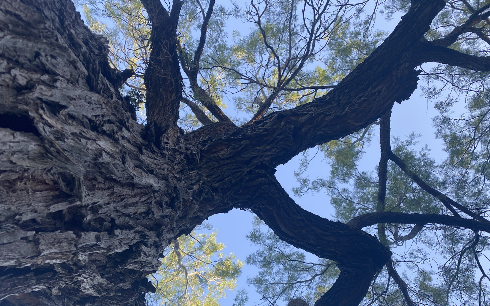 August Search for Silver Clue #2