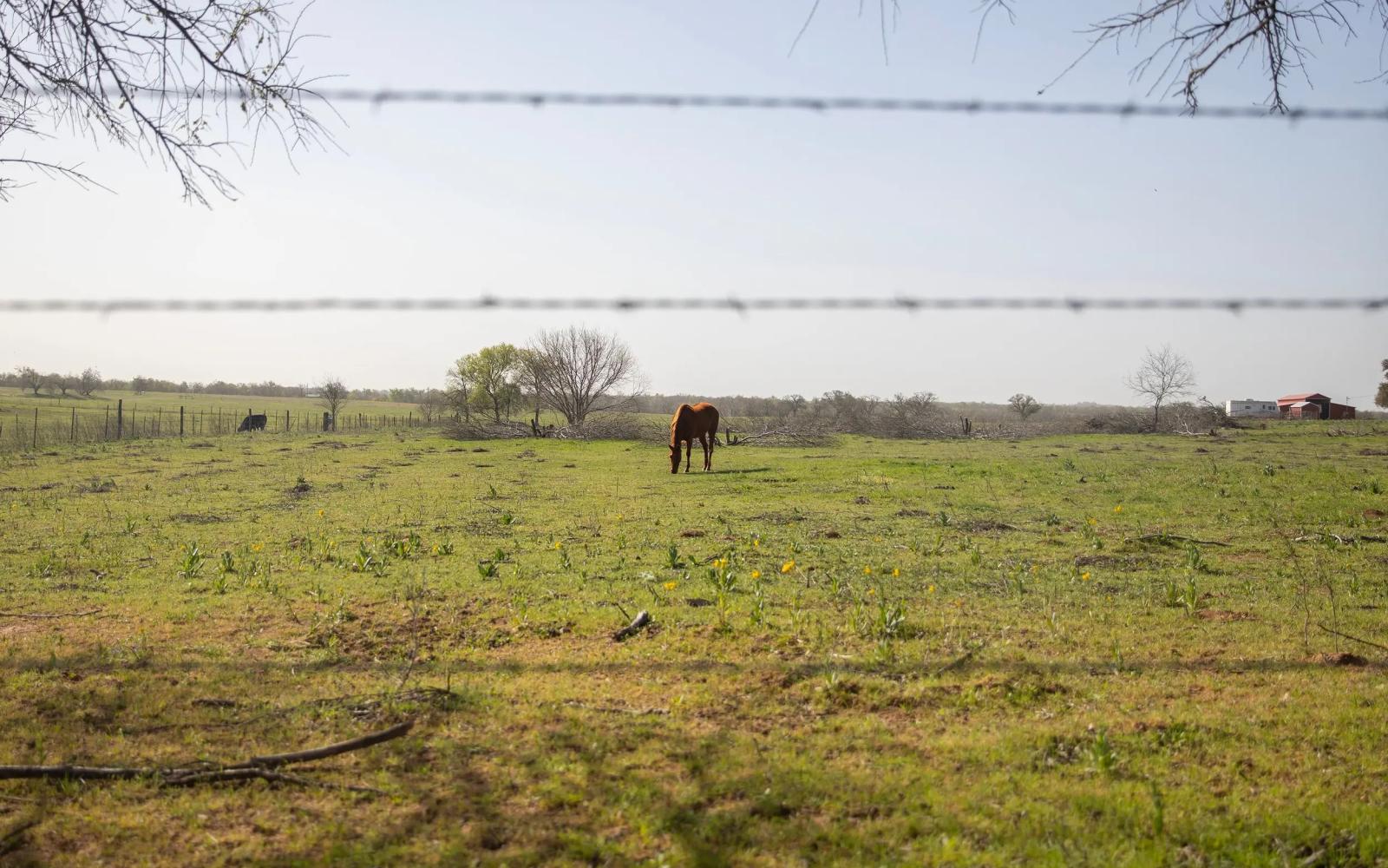 The Texas House has approved the negotiated version of a bill that aims to ban people tied to the governments of China, North Korea, Russia and Iran from purchasing land in the state.