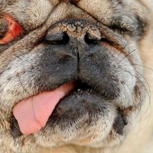 Profile picture for user bw_rogers