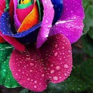 Profile picture for user S.A.TX RN