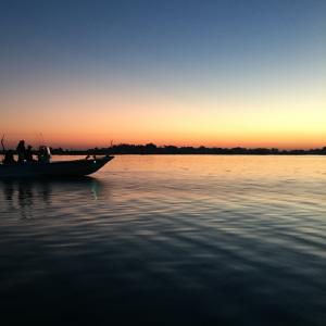 Profile picture for user HiredGuns