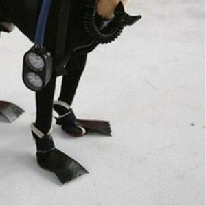 Profile picture for user Sigman