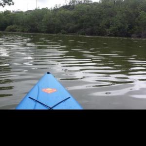 Profile picture for user JimJustJim